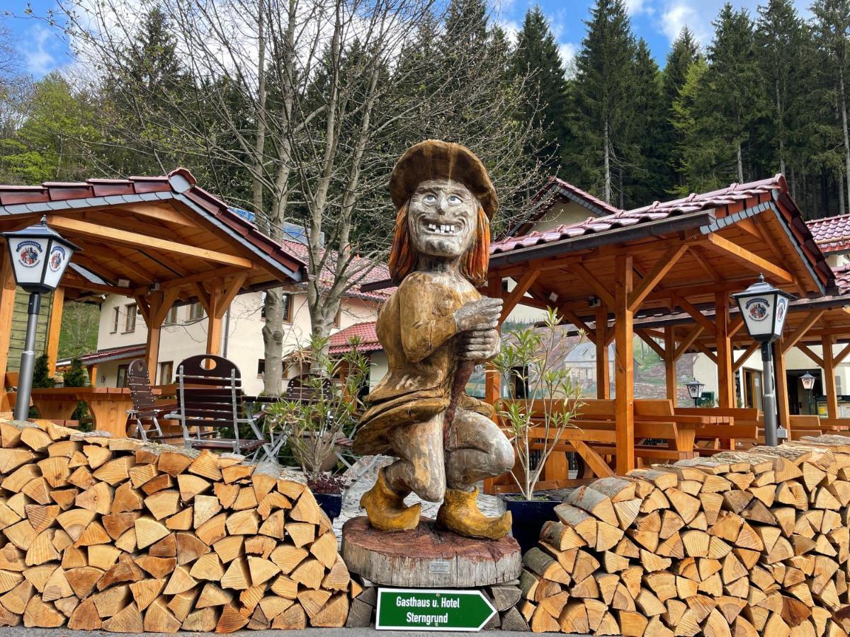 Hotel & Gasthaus Sterngrund Zella-Mehlis Extérieur photo