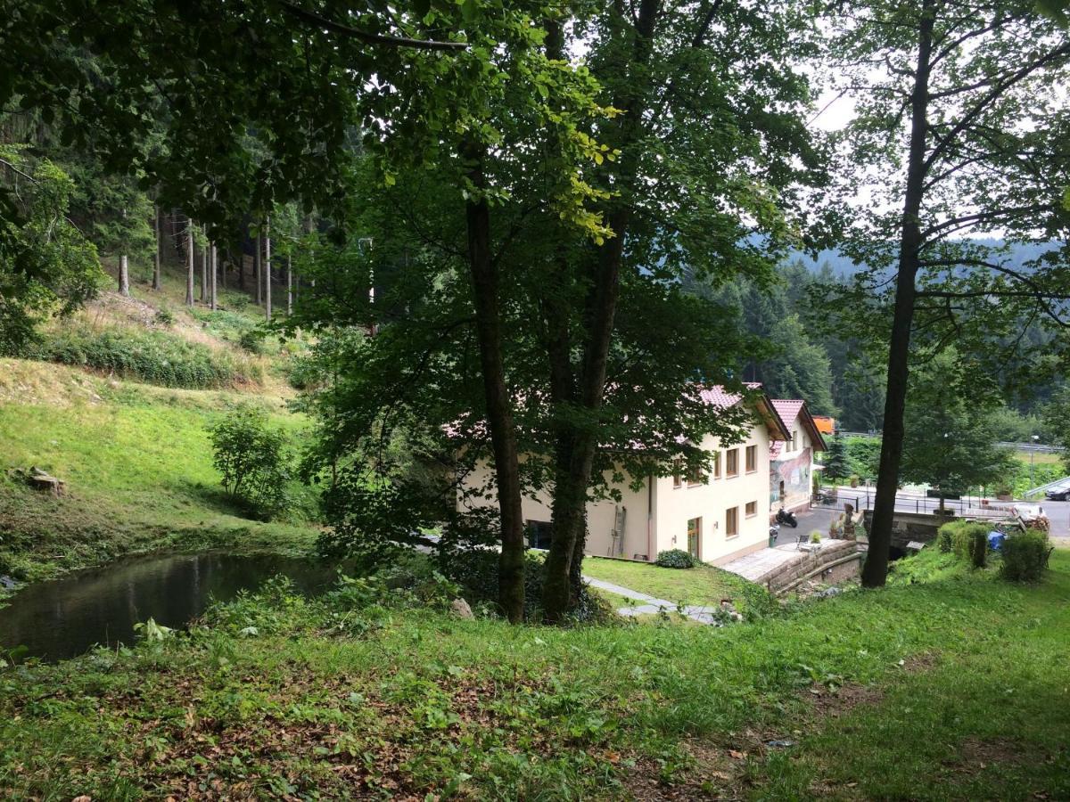 Hotel & Gasthaus Sterngrund Zella-Mehlis Extérieur photo