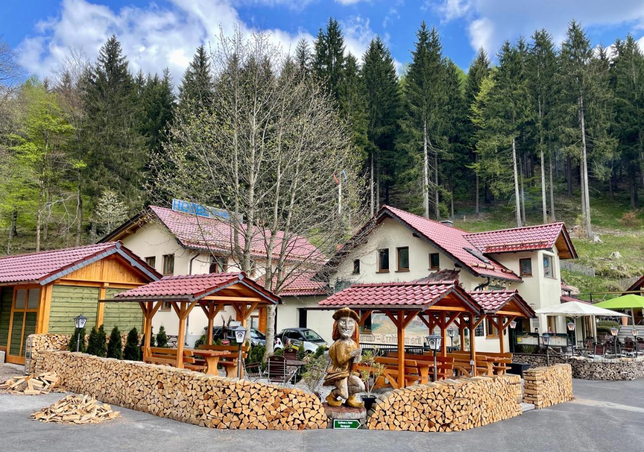 Hotel & Gasthaus Sterngrund Zella-Mehlis Extérieur photo