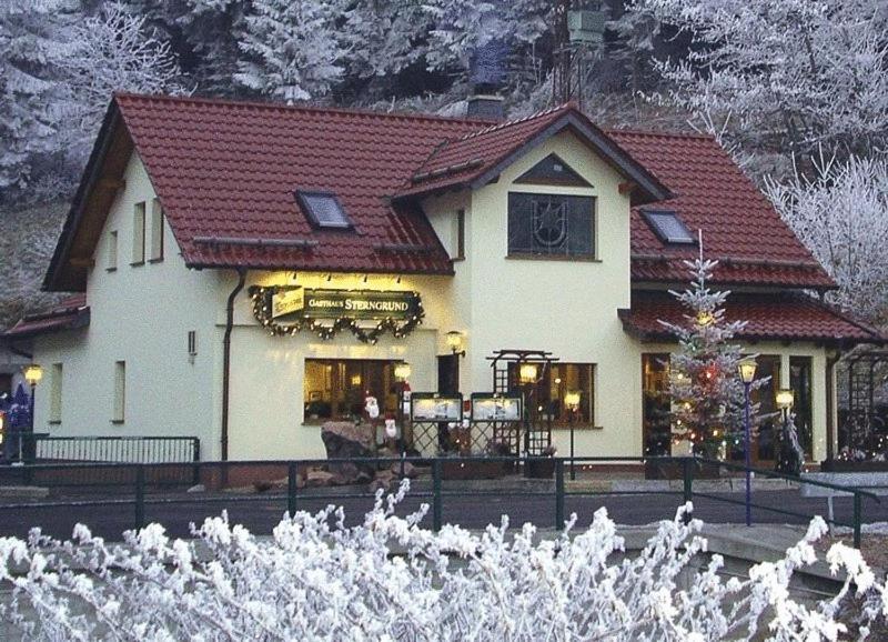 Hotel & Gasthaus Sterngrund Zella-Mehlis Extérieur photo