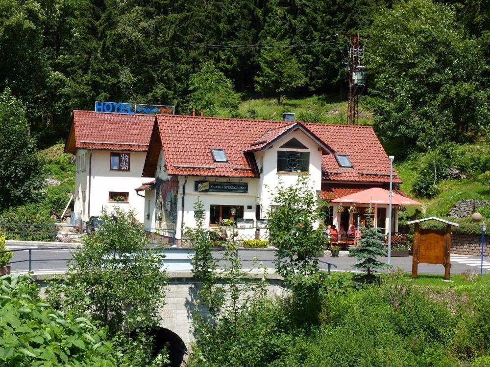 Hotel & Gasthaus Sterngrund Zella-Mehlis Extérieur photo